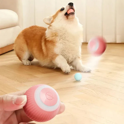 Pelota Mágica: Juego Interactivo para Perros y Gatos