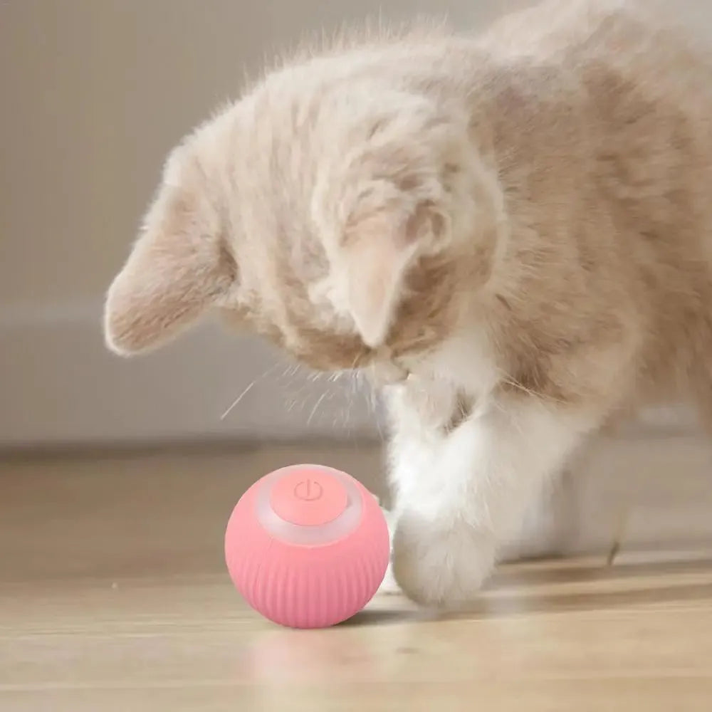 Pelota Mágica: Juego Interactivo para Perros y Gatos