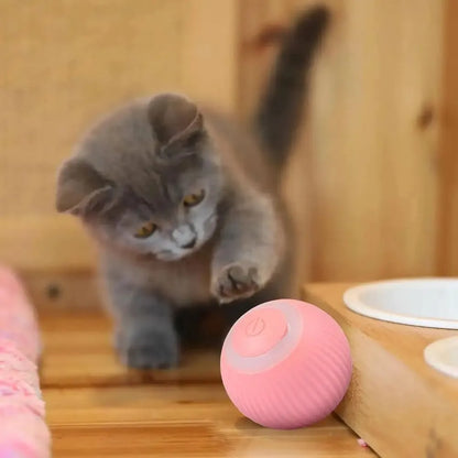 Pelota Mágica: Juego Interactivo para Perros y Gatos