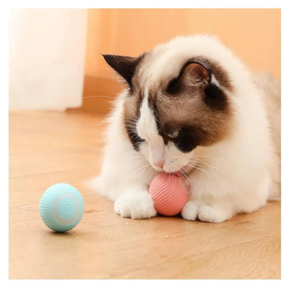 Pelota Mágica: Juego Interactivo para Perros y Gatos